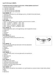 Berbagai contoh soal uts ipa kelas 9 di atas dapat kamu gunakan untuk belajar di rumah. Soal Uts Ipa Kelas 9 Smp Mts Semester 1