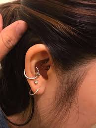 125 Ear Piercings Ideas For Women And Men Plus Must Know