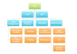 organizational chart ceo cfo bedowntowndaytona com