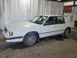 Image result for Bright White 1991 Dynasty