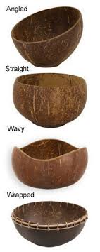 Coconut Shell Light Google Search Coconut Shell Crafts Shell Crafts Diy Coconut Decoration