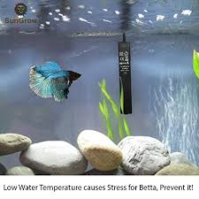 The 6 Best Betta Tank Heater In 2020 Reviews Guide