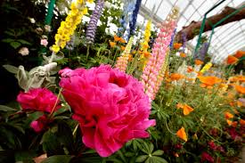 A very steep staircase leads from the pantry to the upper floor. Monet S Garden At The New York Botanical Garden The New York Times