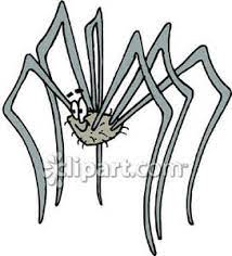 They make a thin, tangled web in sheltered positions were they are unlikely to be disturbed, such as under furniture, behind doors, in the corner of the ceilings, in sheds, in garages and under decks. Cartoon Clipart Picture Of A Spider With Ridiculously Long Legs