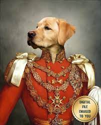 Custom Pet Portrait Your Pet In Military Uniform Royal Cat Painting Regal Pet Portrait Funny Cat Illustration Unique Cat Mom Gift In 2021 Pet Portraits Custom Pet Portraits Dog Portraits