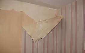 ما هو ورق الجدران وكيف يتم اختيار واستخدامه