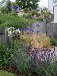 Garden Design By Cornwall Designer Based In Falmouth North Cornwall Garden Urban Garden Design Cornwall Garden Garden Design