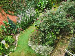 Maybe you would like to learn more about one of these? Gardening Under Black Walnuts Finegardening