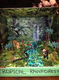 Rainforest Biome In A Box Rainforest Project Habitats Projects Ecosystems Projects