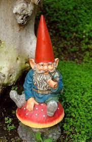 Garden gnomes are typically male and have beards but you see the. History Of Gnomes Lovetoknow