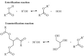 Esterification Of Free Fatty Acids And Transesterification Of A Download Scientific Diagram