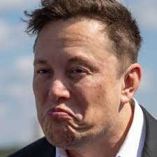 Zoe Pollard (@raptardthedino)