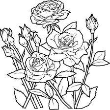 Iniziamo con le giorgine 🙂 se disegnare alcune giorgine, otteneremmo un mazzo. Disegni Di Rose Da Stampare Foto Nanopress Donna