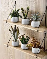 Idees De Decoration Interieure Avec La Plante D Aloe Vera Deco Plantes Interieur Decoration Murale Cuisine Decoration Etageres