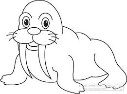 Animals Walrus Marine Life Black White Outline 049 Butterfly Coloring Page Animal Crafts Preschool Coloring Pages