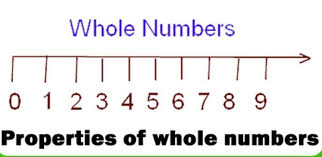 Prepare A Chart On Whole Numbers Brainly In