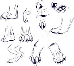 You may wish to make a sketch. How To Draw Wolf Paws Step By Step Drawing Guide By Dawn Dragoart Com