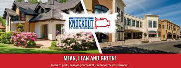 Pests can cause health problems and fear or discomfort in home residents. Best Way To Birds Control Services In New York City Knockoutpest Com By Knockout Pest Control Medium