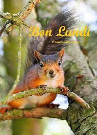 L'univers des images - ☃️❤️❄️</div></body></html>