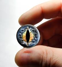 Blaue eidechsenaugen