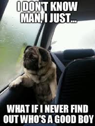 Life S Unanswerable Questions Funny Dog Pictures Funny Dog Memes Bones Funny