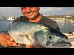 Youtube Avcilik Gece