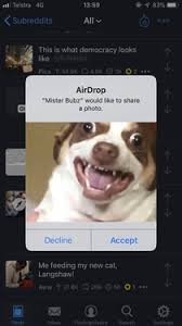Phones with airdrop enabled can exchange. Airdrop Photos Meme Guy