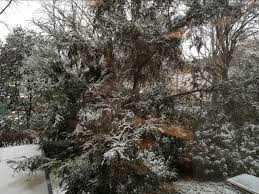 Pour la suite, les conditions restent encore incertaines, mais des flocons pourraient à nouveau tomber vendredi. France 24 Departements En Alerte Vigilance Orange Neige Sciences Et Avenir