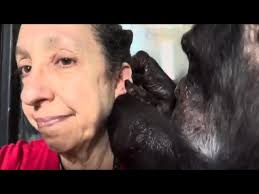 Kathy Freeze: Supporting Our Native Pollinators