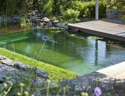 Schwimmteich Bauen Vorteile Vom Naturpool Im Garten Bauen Garten Naturpool Schwimmteich Vom Vorteile In 2020 Natural Pool Swimming Pond Natural Swimming Pools