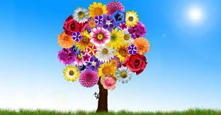 Blumen günstig kaufen günstiger als jeder preisvergleich finde täglich neue angebote und spare bei deinem einkauf mydealz. Sag S Mit Blumen Kennst Du Die Geheime Sprache Der Blumen Schon Klaudija De Lifestyle Blog Dusseldorf