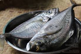Cara buat resepi sup ikan power : Resepi Sup Ikan Cermin Enak Dan Mudah Resepi Pemakanan