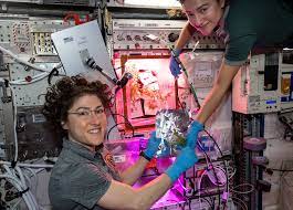 Expedition 61, international space station (iss) , Christina Koch And Jessica Meir Harvest Space Vegetables Spaceref