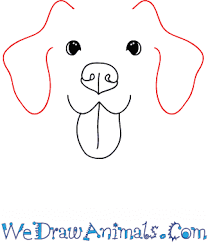 Draw a line between the feet. How To Draw A Dog Face