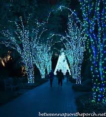 Photo courtesy of the atlanta botanical gardens. Atlanta Botanical Garden Garden Lights Holiday Nights Atlanta Botanical Garden Botanical Gardens Christmas Garden