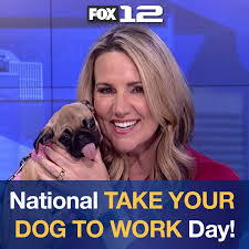 Check spelling or type a new query. Fox12oregon On Twitter It S Nationaltakeyourdogtoworkday An Adorable Pug Puppy Named Skye Who Belongs To One Of Our Sales Team Members Was On Good Day Oregon With Shaunaparsons For The Occasion What A