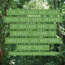 Big Tree School Of Natural Healing Emerson Nature Nature Quotes Emerson Quotes