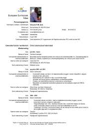 Pin On 1 Cv Template