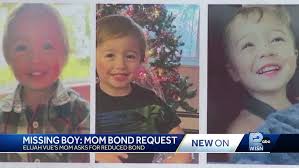 Mother of missing child Elijah Vue requests modified bond