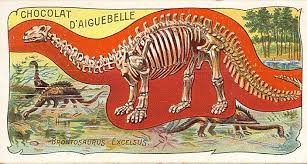 It is believed they had stones in their guts. Brontosaurus Ist Wieder Da Natur Derstandard At Wissenschaft