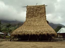 Bumbu yang membaluri sate bulayak terbuat dari adonan khusus campuran kemiri dan santan kelapa. Rumah Tradisional Musalaki Termwiki Millions Of Terms Defined By People Like You