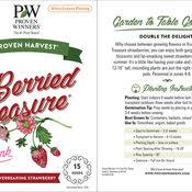 Fresh strawberries and basil, with honey or simple syrup. Berried Treasure Pink Strawberry Fragaria Ananassa Proven Winners