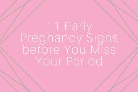 Also, the glands in the areolas become bumpy. 11 Early Pregnancy Signs Before You Miss Your Period
