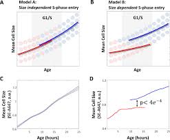 We did not find results for: Cell Size Sensing In Animal Cells Coordinates Anabolic Growth Rates And Cell Cycle Progression To Maintain Cell Size Uniformity Elife
