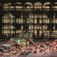 Museum National D Histoire Naturelle Grande Galerie De L Evolution Museum National D Histoire Naturelle Histoire Naturelle Museum Histoire Naturelle Paris