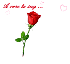 Check spelling or type a new query. Bunga Mawar Gif Gambar Animasi Animasi Bergerak 100 Gratis