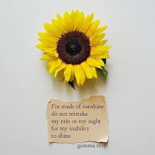 Repost From Gemmatroypoetry Using Repostregramapp Thank You For Reading My Poetry And Quotes I Try Life Meaning Quotes Sunflower Quotes Meant To Be Quotes