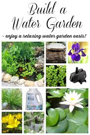 You just learned how to build a water garden pond! The Perfect Pond 10 Tips On How To Build One Setting For Four