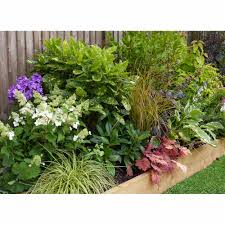 We did not find results for: Garden On A Roll Mixed Shady Border Pack 4m X 60cm Wilko