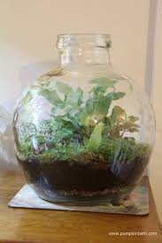 A Review Of The Biorbair Terrarium A Technological And Modern Alternative To Traditional Bottle Gardens Bottle Garden Terrarium Plants